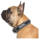 Trespass Κολάρο σκύλου Reflective Soft Touch Keira Dog Collar